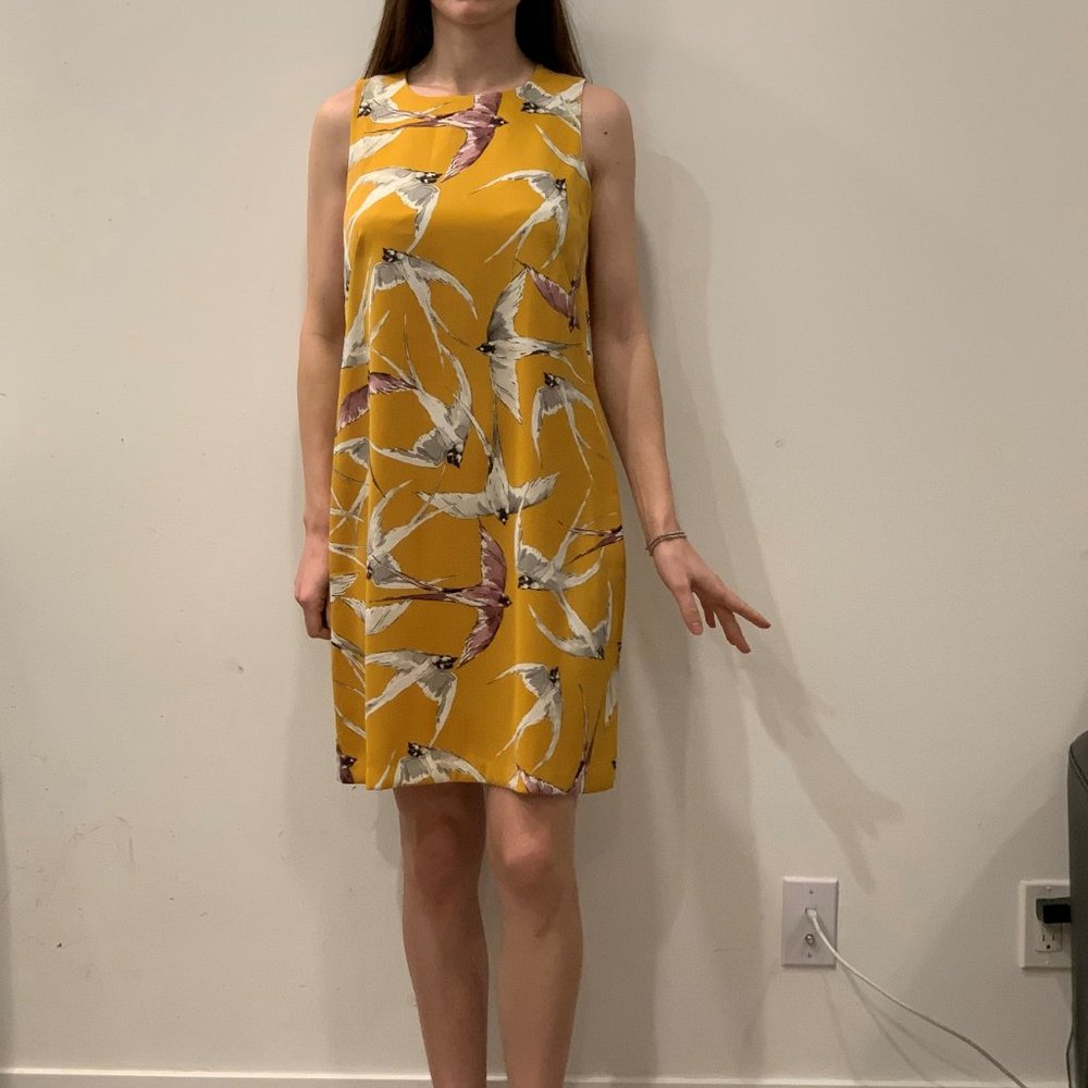 Ann Taylor Mojave Shift Dress Size 6 - Picture 5 of 7